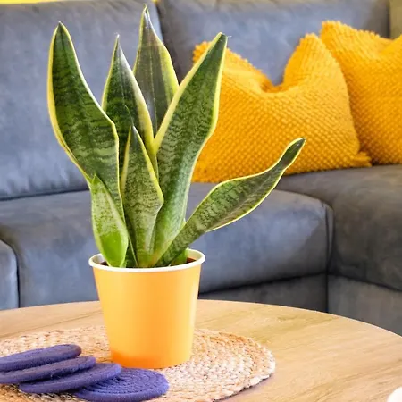 Appartamento Fantastic 90m2 Two-bedroom With Terrace - Wa7b *