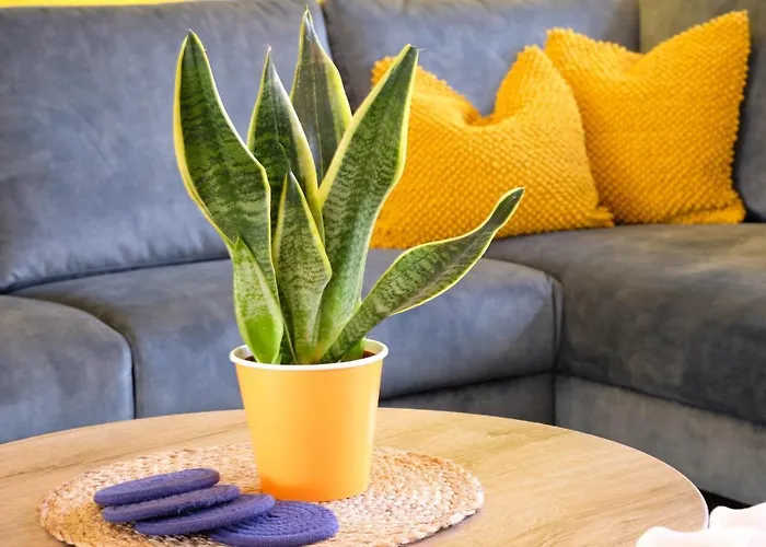 Apartman Fantastic 90m2 Two-bedroom With Terrace - Wa7b *